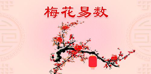 如何用梅花易數來算命?算命方法你就明白了