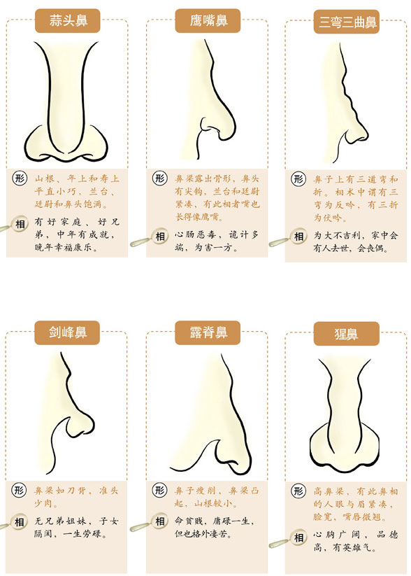 鼻梁低鼻翼宽面相图片